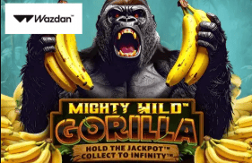 Game 1 Spinbit Casino