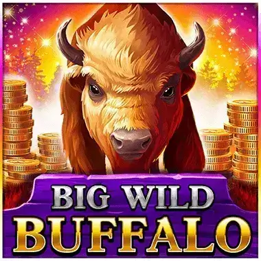 Play Big Wild Buffalo Spinbit casino